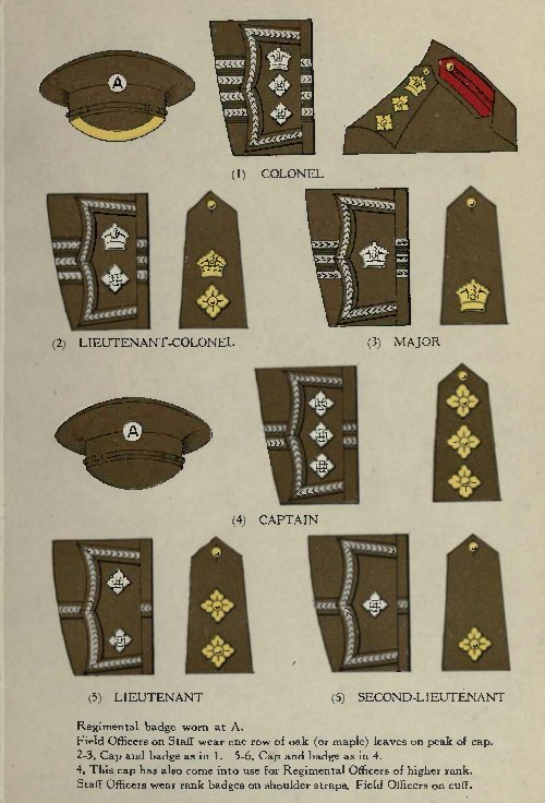 badges of rank british army. Rank badges of the Canadian