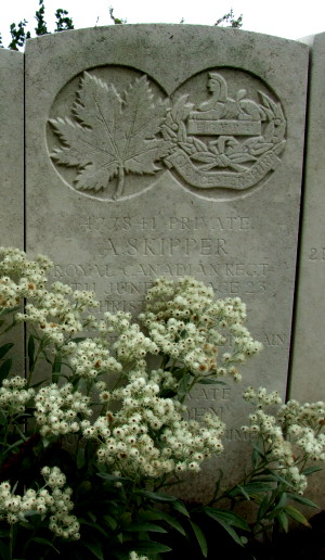 CWGC headstone for Pte Arthur Skipper