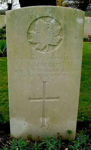 Commonwealth War Graves Commission Gravestone of Pte Joseph Molloy, located in the Meteren Military Cemetery, Nord, France. Photo by 