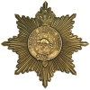 Infantry School Corps star badge.